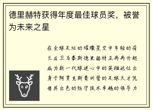 德里赫特获得年度最佳球员奖，被誉为未来之星