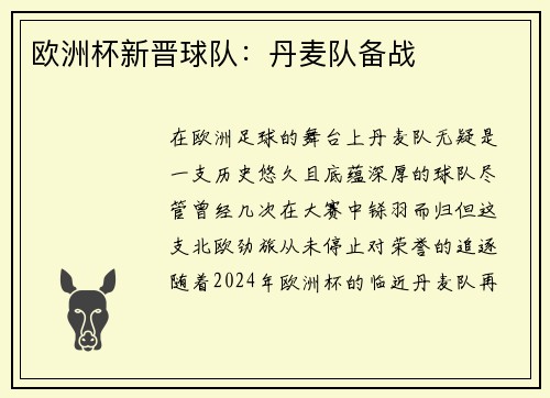 欧洲杯新晋球队：丹麦队备战